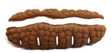 EE Toys Latex Milk Bread Dog Toy